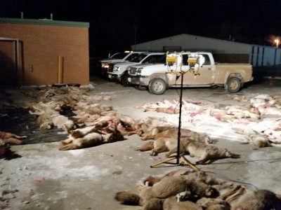 20150110_211448.jpg (174.15 KiB) Viewed 47225 times Saturday night checkins