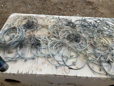 20170305_150005-1008x756.jpg (327.55 KiB) Viewed 197879 times another batch ready for the field