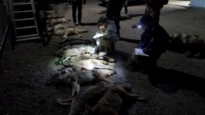 20181027_194423-1024x576.jpg (166.92 KiB) Viewed 24699 times check in time